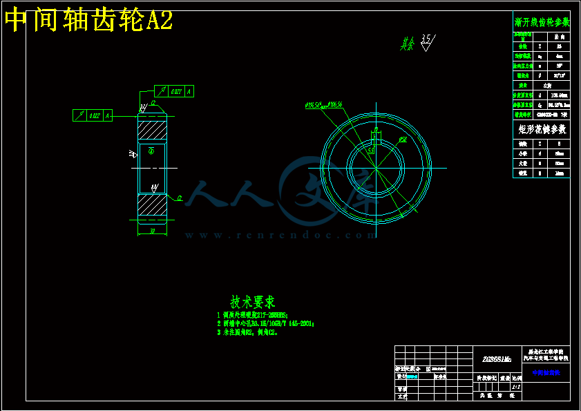 中間軸齒輪A2.gif